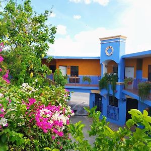 Hotel Hacienda Del Viejo